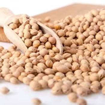 Preview: Coussin de noyaux de cerises bio confortable avec 3 compartiments, 50 x 20 cm – coussin chaud & froid naturel pour ventre, dos, nuque & épaules – housse en coton bio