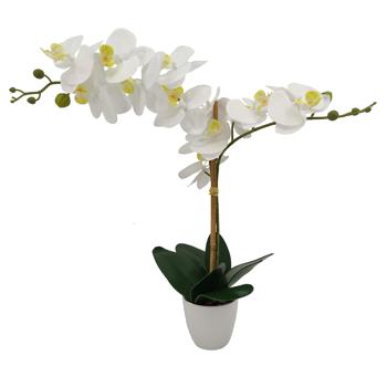 Silk orchid white in pot, with 10 flowers, polyester, height 61 cm