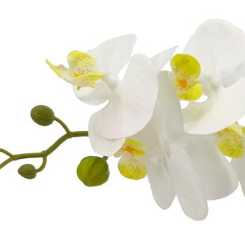 Preview: Silk orchid white in pot, with 10 flowers, polyester, height 61 cm