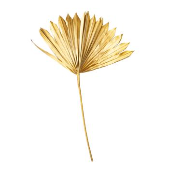 Preview: 2er-Set dekorative Palmenblätter gold - Natürliche Trockenzweige für Wohnzimmer, Schlafzimmer & Bad - 40x45cm - Ideal für Vasen, Gestecke & Kränze