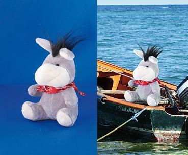 Preview: Studio photo avec trépied et spots