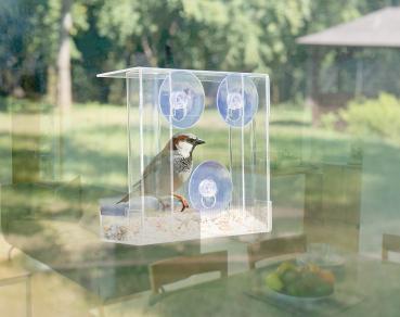 Preview: 2er-Set Vogel-Futterhäuser - Acryl, transparent mit 2 Silos - Saugnapf-Befestigung, Wetterschutz Dach - Für Garten- & Singvögel, Naturkino