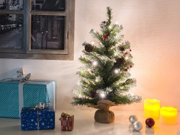 Preview: 2er-Set Deko-Weihnachtsbäume 60cm - Stimmungsvolle Winter-Dekoration mit 30 warmweissen LEDs - Mit Zapfen, Eibenbeeren & Schnee-Look - Batteriebetrieben Preview: 2er-Set Deko-Weihnachtsbäume 60cm - Stimmungsvolle Winter-Dekoration mit 30 warmweissen LEDs - Mit Zapfen, Eibenbeeren & Schnee-Look - Batteriebetrieben