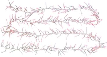 Preview: Catena luminosa a grappolo LED con 300 LED RGB e funzione timer, IP44, 3 m