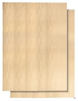 Preview: Pack de 2 housses d‘hivernage XXXL - Protection gel vent neige pluie - 360x250 cm - Polypropylène respirant 100 g/m² - Réutilisable - Fermeture éclair