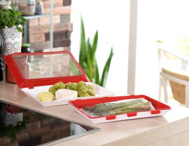 Preview: Boîte de conservation XL pour charcuterie et fromage - Couvercle ultra-souple conservation sous vide - Empilable - Plateau de service intégré - 38x3x26cm