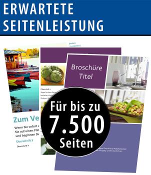 Preview: set of 2 refill inks for Epson, replaces Epson C13T03R140, black