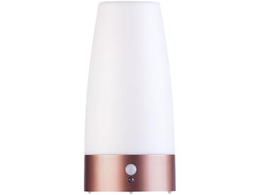 Preview: Lot de 2 lampes de table LED à piles avec détecteur de mouvement PIR, blanc chaud, rond