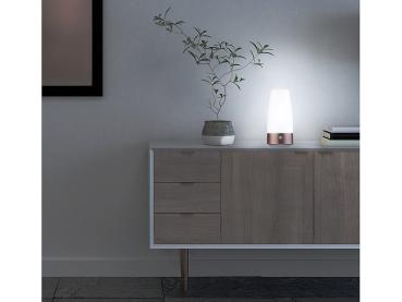 Preview: Lot de 2 lampes de table LED à piles avec détecteur de mouvement PIR, blanc chaud, rond