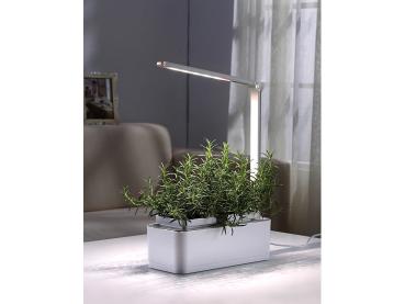 Preview: Set di 2 sistema intelligente di coltivazione delle piante, LED, timer, 1,5 L