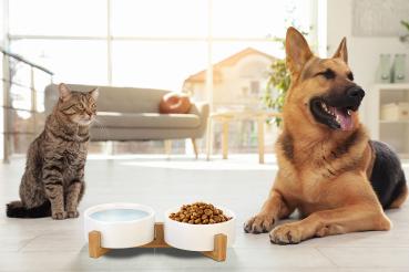Preview: Double ceramic food & drinking bowl with bamboo stand, 400 ml each