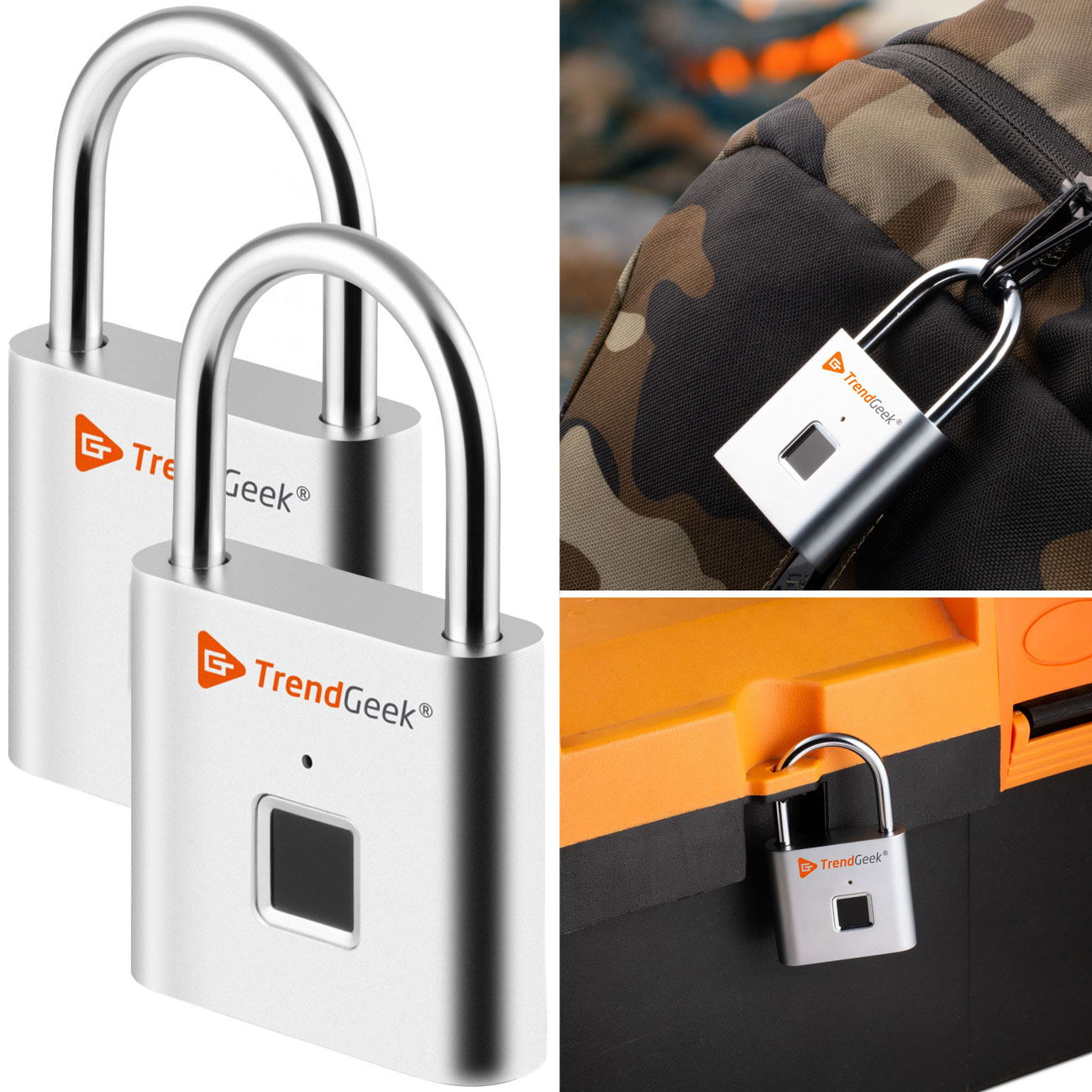 2er-Set Fingerabdruck-Vorhängeschloss, 10 Profile, Mikro-USB-Kabel
