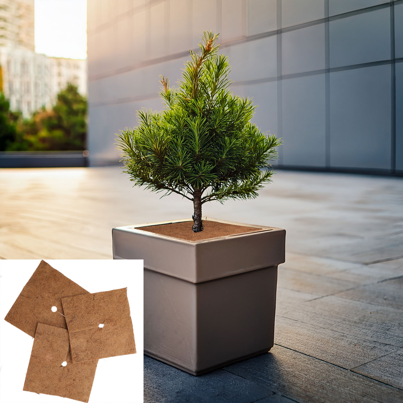 lot de 3 tapis de coco antigel pour plantes en pot, carrés, 38 x 38 cm