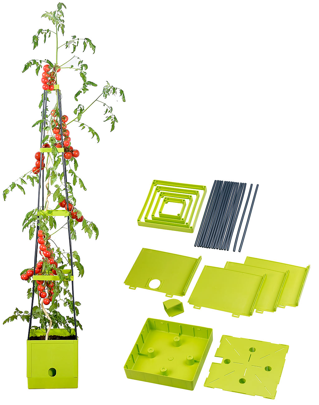 Pot avec tuteur pour plant de tomates avec réservoir 2,5 L
