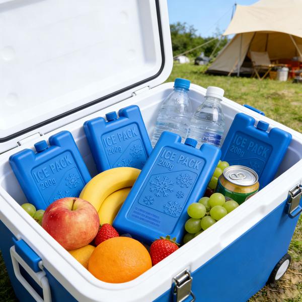 Set of 24 ice packs for cooler bag & lunch box – 200 g each, flat & reusable cooling elements – BPA-free ice pack for 12 h cooling