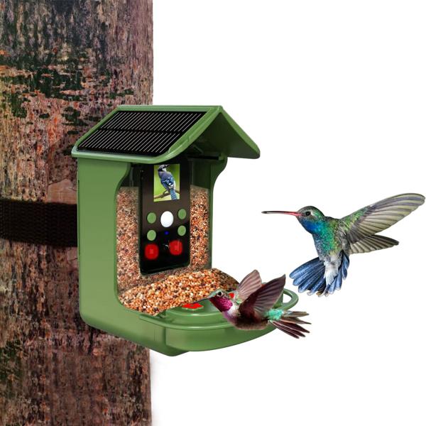 Mangeoire pour oiseaux avec caméra et panneau solaire : caméra sauvage pour découvrir l‘avifaune de près dans le jardin