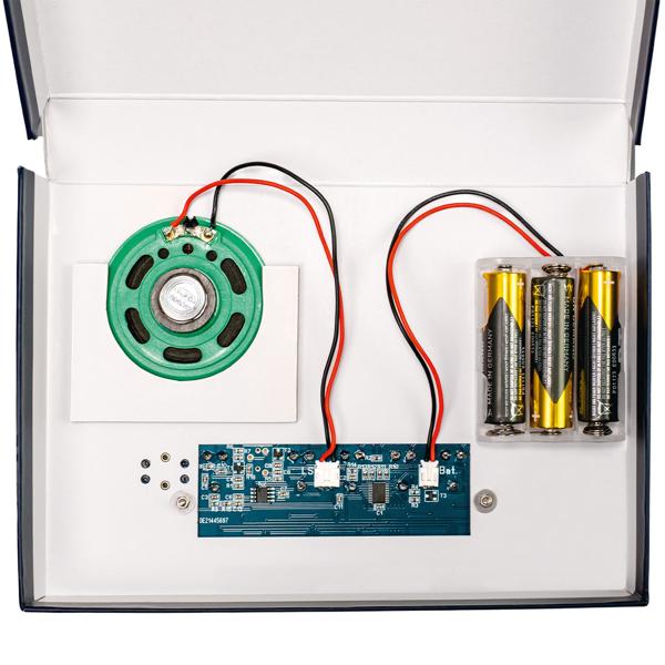 Kit Synthétiseur Électronique Créatif - Bricolage Sans Soudure - Son Réaliste - Sortie Audio 3.5mm - Âge 14+