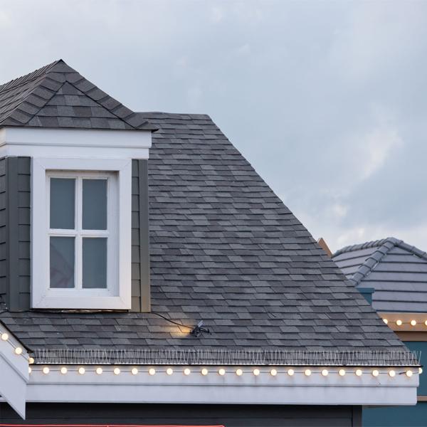 Effective set of 5 pigeon deterrent spikes, 3-row stainless steel, 2.5 m – individually adjustable – robust defence spikes for optimal bird protection