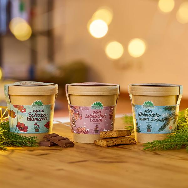 Wunderschöne Schokoblume, Anzucht-Set im Becher – Starten Sie Ihr Duftendes Hobby fur Balkon & Fensterbank – Originelles Weihnachtsgeschenk