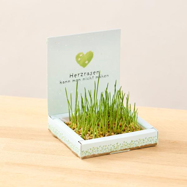 Charming ryegrass planting kit “You can’t mow a racing heart“ – Unique thank-you gift that grows and brings lasting joy
