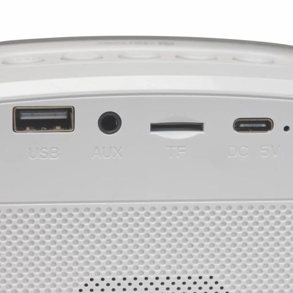 Enceinte Bluetooth 100W karaoke box avec micro et jeu de lumières LED : enceinte de fête portable, son et basses au top, AUX/USB/MicroSD – idéale pour les soirées