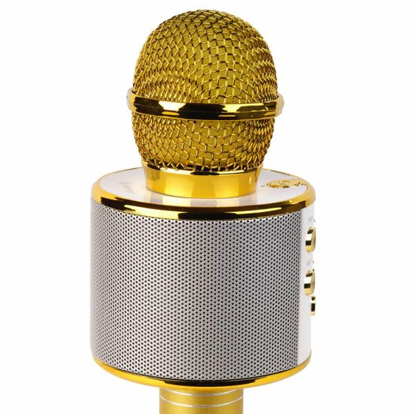 Wireless karaoke microphone with speaker gold – Bluetooth 5.0 for singing & party fun – superb sound quality 3–4 hrs USB/AUX/MicroSD