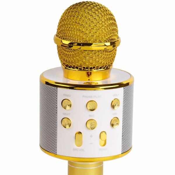 Wireless karaoke microphone with speaker gold – Bluetooth 5.0 for singing & party fun – superb sound quality 3–4 hrs USB/AUX/MicroSD