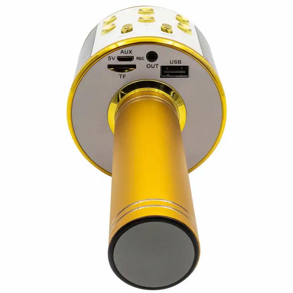 Wireless karaoke microphone with speaker gold – Bluetooth 5.0 for singing & party fun – superb sound quality 3–4 hrs USB/AUX/MicroSD