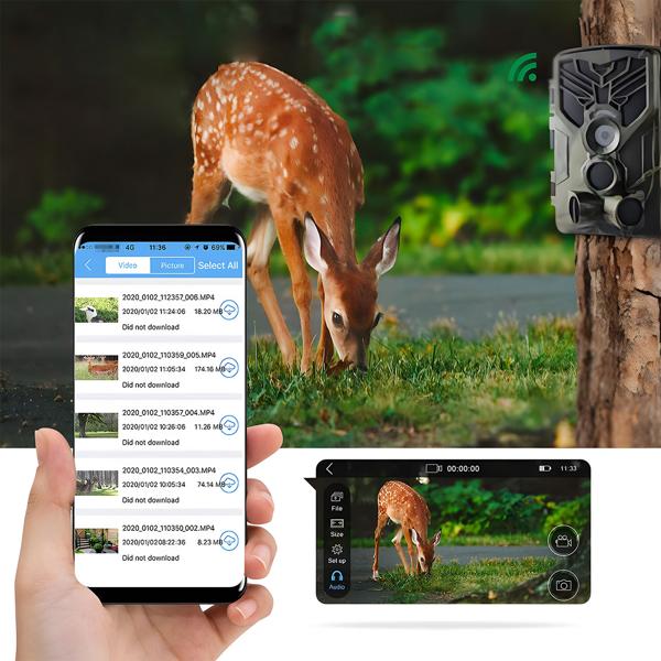 4K-UHD-Wildkamera mit 2 PIR Bewegungsmeldern, Smartphone Live Übertragung, Nachtsicht mit 42 IR LEDs, Farbmonitor, WLAN, Stand-by 8 Monate, IP65