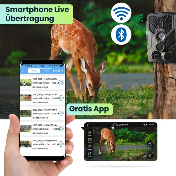 2er-Set 4K-UHD-Wildkamera mit 2 PIR Bewegungsmeldern, Smartphone Live Übertragung, Nachtsicht mit 42 IR LEDs, Farbmonitor, WLAN, Stand-by 8 Monate, IP65