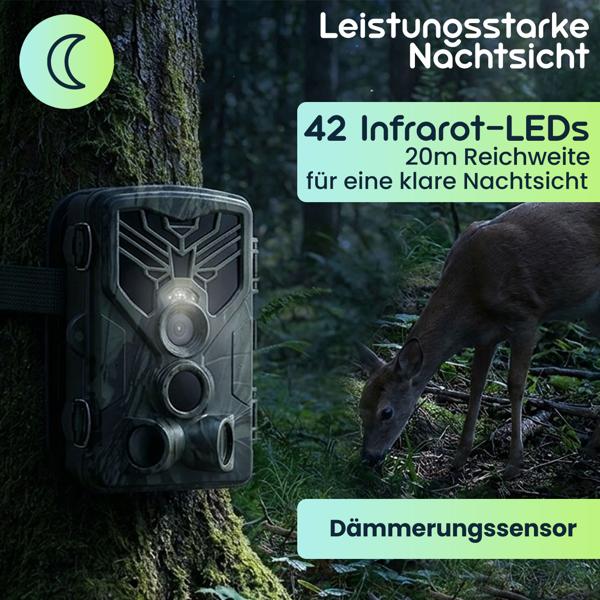 2er-Set 4K-UHD-Wildkamera mit 2 PIR Bewegungsmeldern, Smartphone Live Übertragung, Nachtsicht mit 42 IR LEDs, Farbmonitor, WLAN, Stand-by 8 Monate, IP65