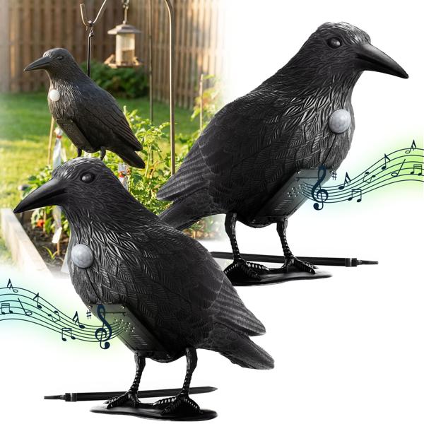 Set of 2 realistic crow bird deterrents with sound: battery-powered raven bird scarer for effective bird control. Natural crow sounds for deterrence