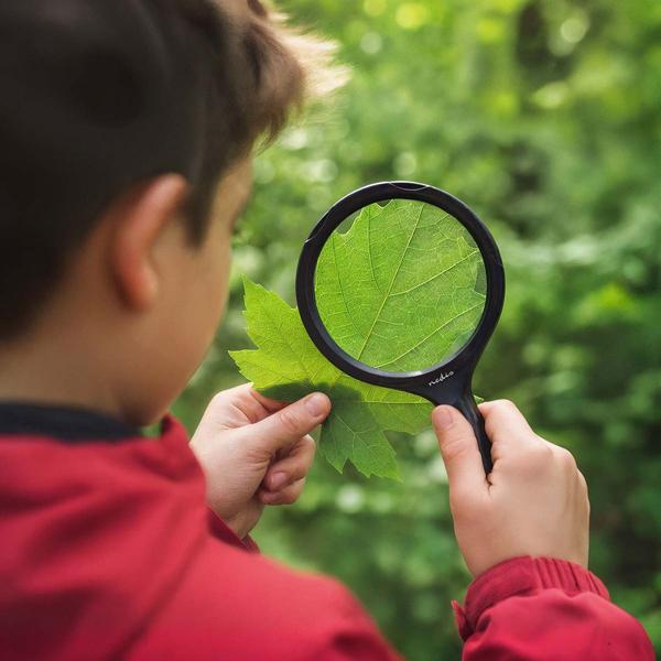 2er-Set LED Leselupe: 2x Vergrösserung, 9cm Glaslinse, Profi Handlupe beleuchtet, ideal für Senioren, Hobby & Basteln - Seh- & Lesehilfe