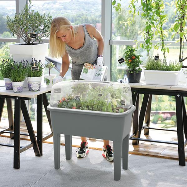 Praktisches Gewächshaus Anthrazit 52 Liter: Hochbeet mit Deckel und Belüftung, Anzuchtkasten für Outdoor - Stabil, Wetterfest & Rückenschonend