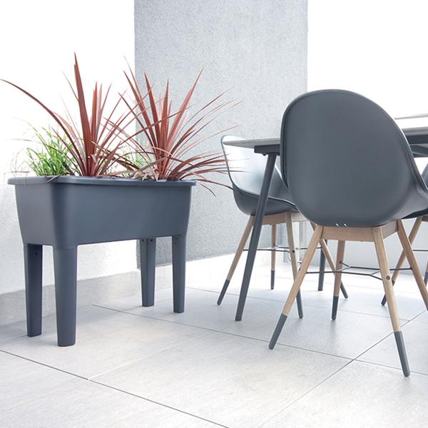 Praktisches Gewächshaus Anthrazit 52 Liter: Hochbeet mit Deckel und Belüftung, Anzuchtkasten für Outdoor - Stabil, Wetterfest & Rückenschonend