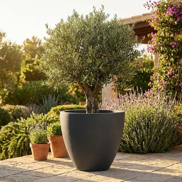 Blumentopf Rund 58cm, Graphit – Grosses Pflanzgefäss für Aussen und Innen – Moderne Optik & Edles Design für Garten und Terrasse