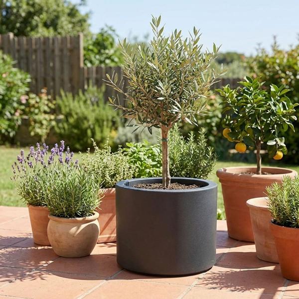Moderner Blumentopf Rund Ø47cm in Anthrazit, Pflanzkübel 40L aus Kunststoff für Innen & Aussen, Frostsicher & UV-Beständig, Leichtgewicht