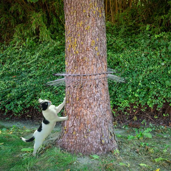 Cat deterrent belt: Effective cat scarer & climbing protection for trees – Safe bird protection for nest box & nest, up to 74 cm