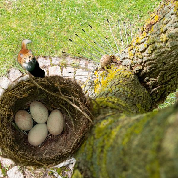 Cat deterrent belt: Effective cat scarer & climbing protection for trees – Safe bird protection for nest box & nest, up to 74 cm