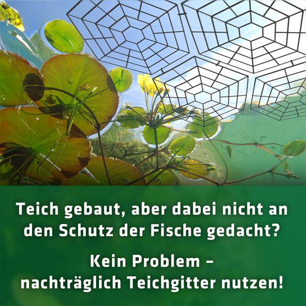 Zuverlässiger Reiher- & Katzenschutz für Gartenteiche: 20er Set Teichgitter, sechseckig Teichschutzgitter schwimmend
