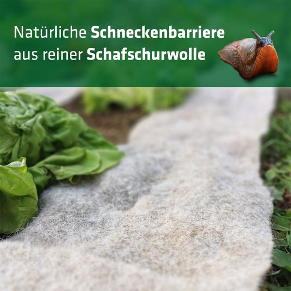 2er-Set Effektiver Schneckenschutz: 5m Schafwolle Schneckenbremse für Gemüsebeet & Garten - Biologischer, giftfreier Schnecken-Stopp aus Wolle