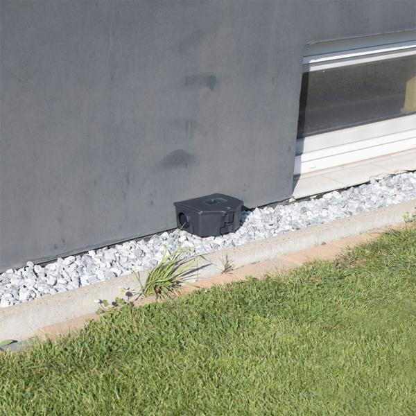 Boîte à appâts sécurisée : station d’appât verrouillable pour souris et rats. Boîte pour pièges robuste en plastique avec fenêtre de contrôle – hygiénique
