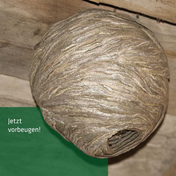 Wespennest Attrappe 4er-Set aus Papier - Natürliche Wespenabwehr ohne Chemie für Vordach, Terrasse, Carport und Pergola - Wespenschreck