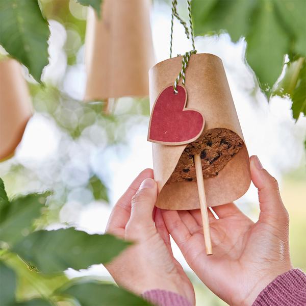 Leckerbissen Wildtierwelt kit – DIY set with 3 feeder bells for children – winter feeding stations for wild birds with coconut fat