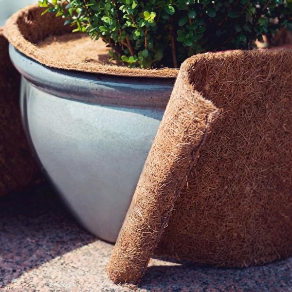 Winter protection coconut mat for plants and garden, approx. 150 x 50 cm: natural coconut mat & plant protection mat – winter protection mat against frost