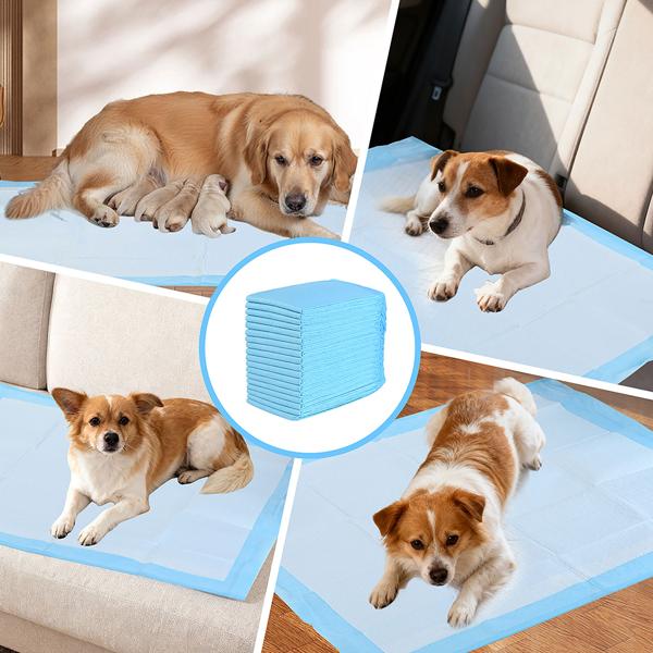 Tappetini da addestramento per cani (20 pezzi): 5 veli, extra assorbenti per cuccioli, a prova di perdite, 60x90 cm - assorbenti e igienici