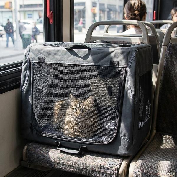 Robust foldable transport box for animals up to 20 kg - black, space-saving & stable - safe transport solution for dogs, cats, rabbits & more