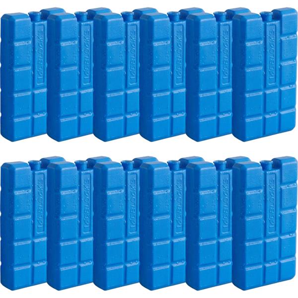 Cooling elements set of 12 – 200 g cooling packs for cooler bag & cool box – Small ice packs for on the go, camping & picnics – Blue, long-lasting cooling