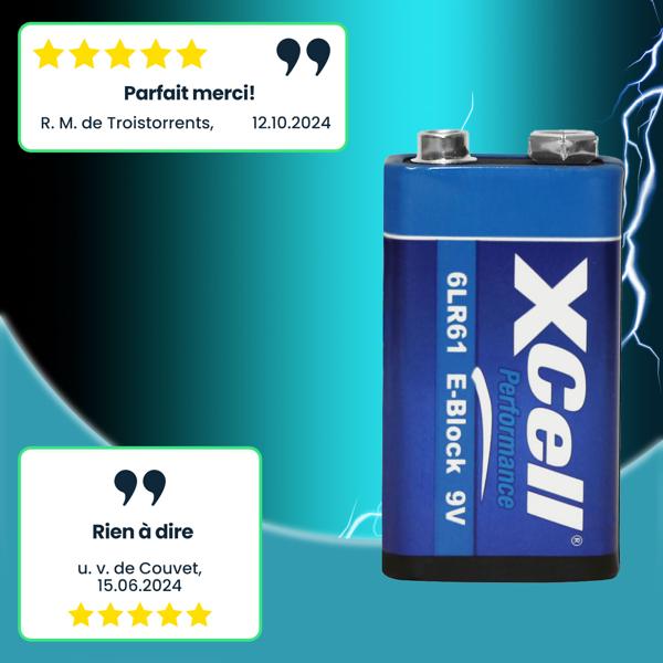 Pile 9V 6LR61 Alkaline Performance - Longue durée de vie, tension stable, ne fuit pas - Idéale télécommandes, jouets, détecteurs de fumée, radios