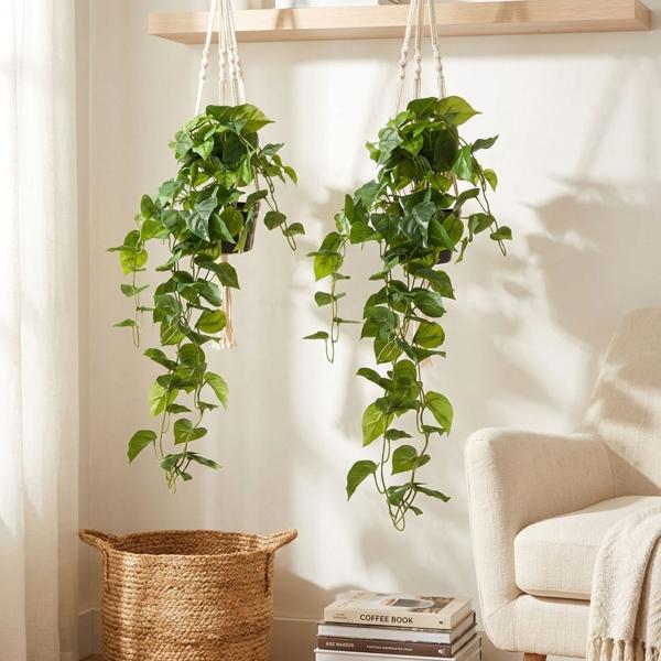 2er-Set Künstliche Hängepflanze 80 cm - Pflegeleicht, langlebig & realistisch - Ideal für dunkle Räume, Allergiker, Haustiere & Vielbeschäftigte